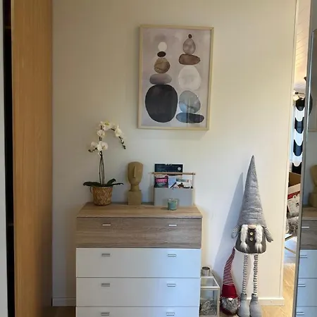 Апартаменты Elegant With Sauna In The Center
