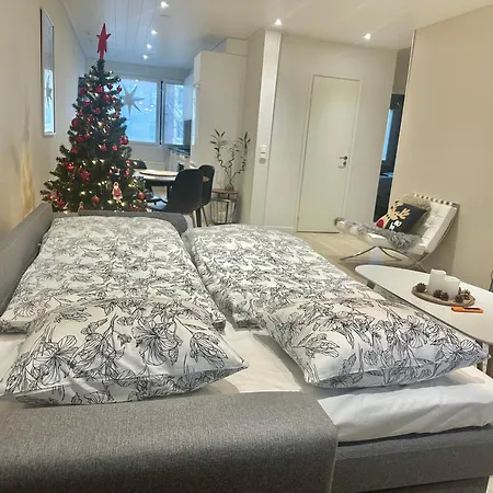 Elegant With Sauna In The Center Apartment *